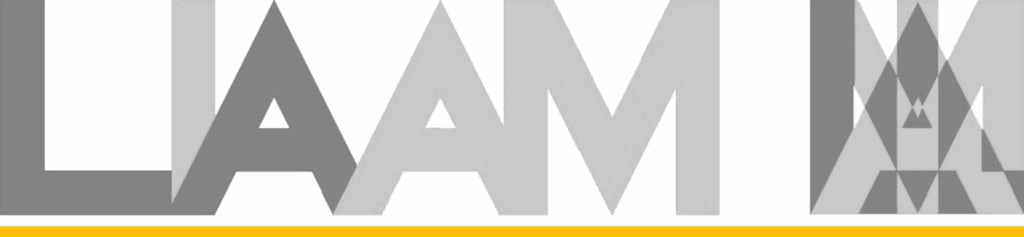 liaam srl logo